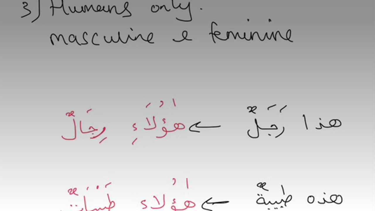 Markaz Al Fawzaan Arabic Language Course - Madinah Book 1 Lesson 13 Trial Session